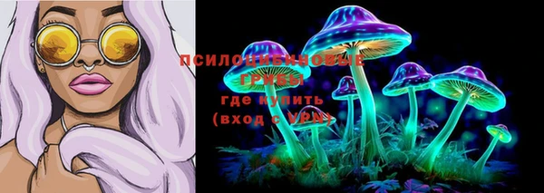 не бодяженный Алексин