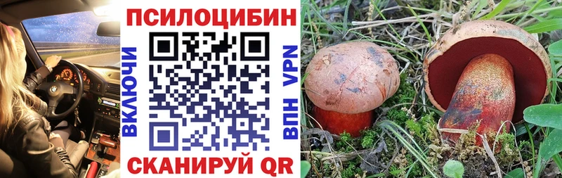 Псилоцибиновые грибы ЛСД  купить   MEGA как зайти  Отрадная 